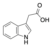 Indole-3-acetic acid